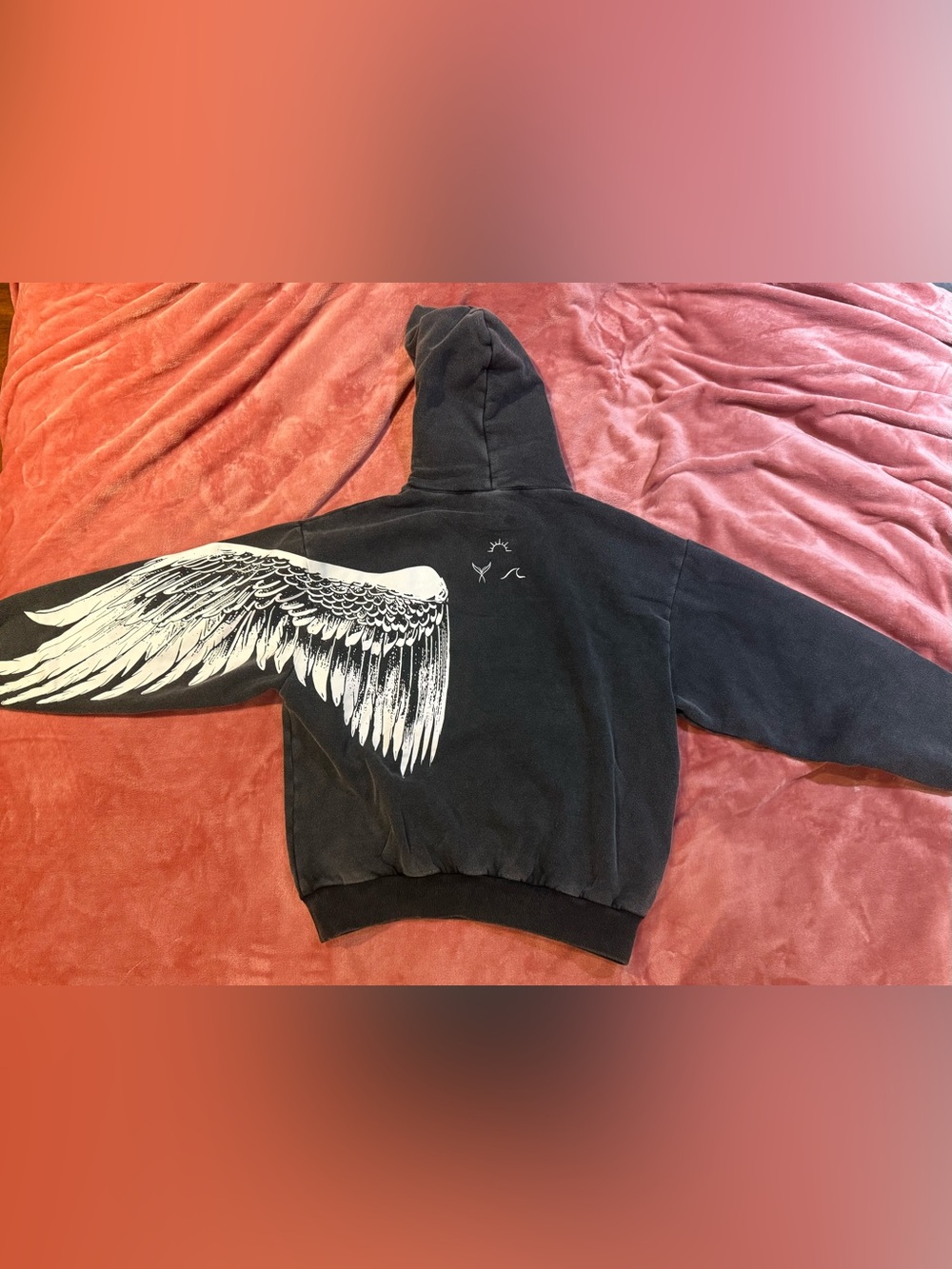 Said the Sky Wings Hoodie - Small